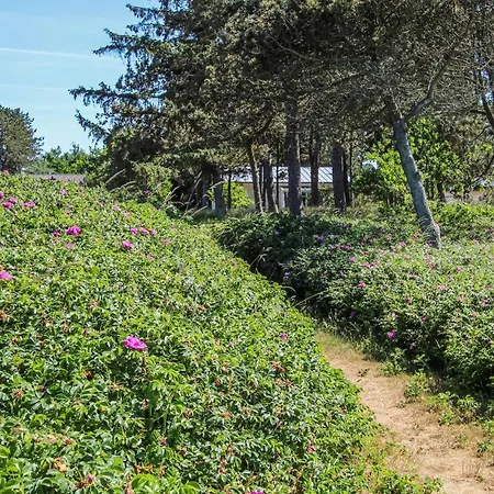 Stunning In With Wifi *